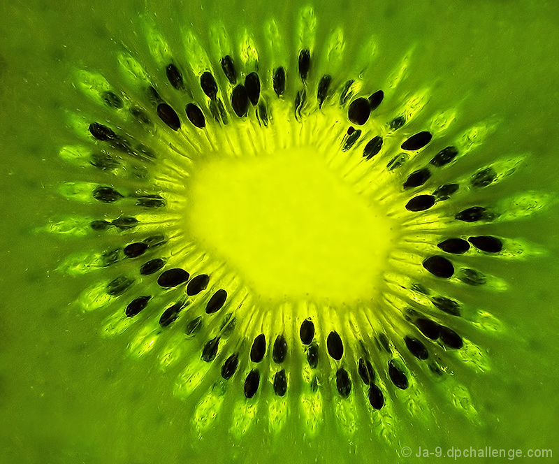 Kiwi
