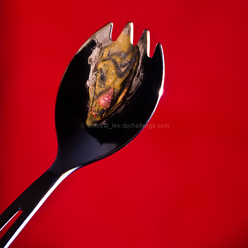 SPORK99