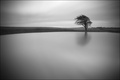 Dewpond