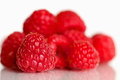 Rubus strigosus (American Red Raspberry)