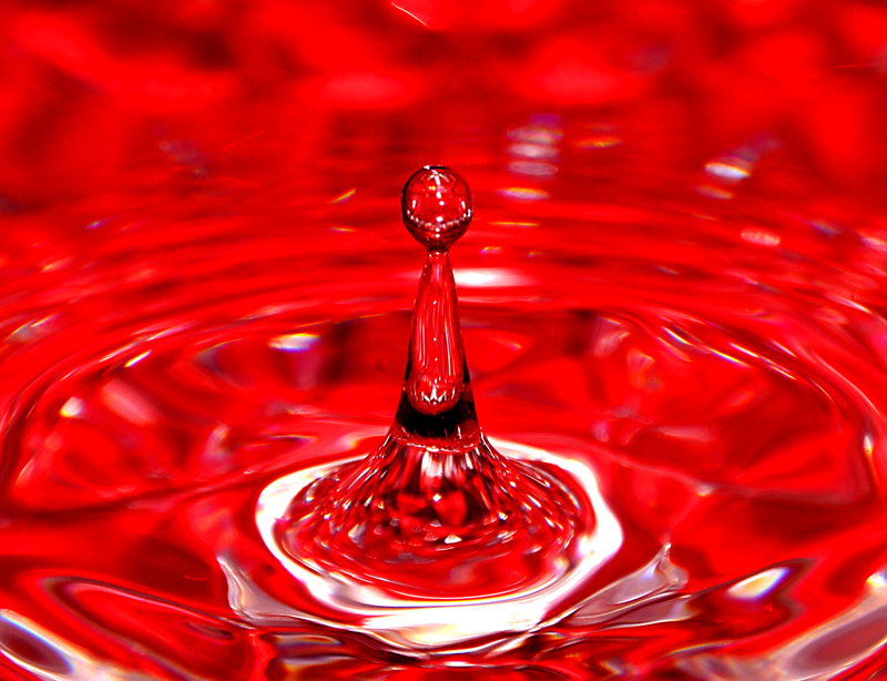 Red-y to Launch