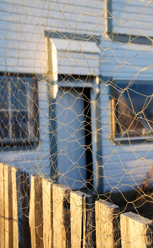 Abandoned coop