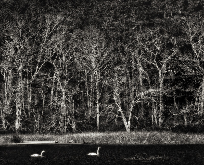 Resolved: Shoot More BW Landscapes