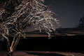 Snow Lights at Night