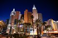 New York Palms