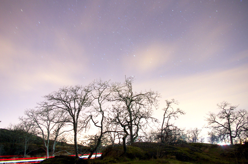 Mt Tolmie at Night