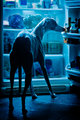 Fridge Dog