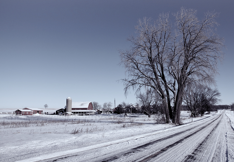 Snow Comes to the Farm