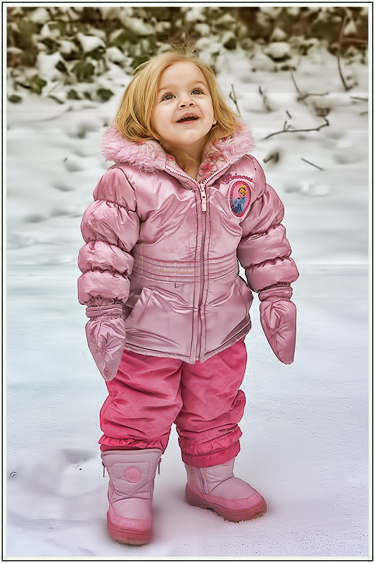 The Snow Child - by Eowyn Ivey
