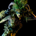 Out from the dark forest she came