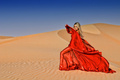 Red Desert