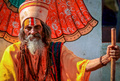 The Sadhu