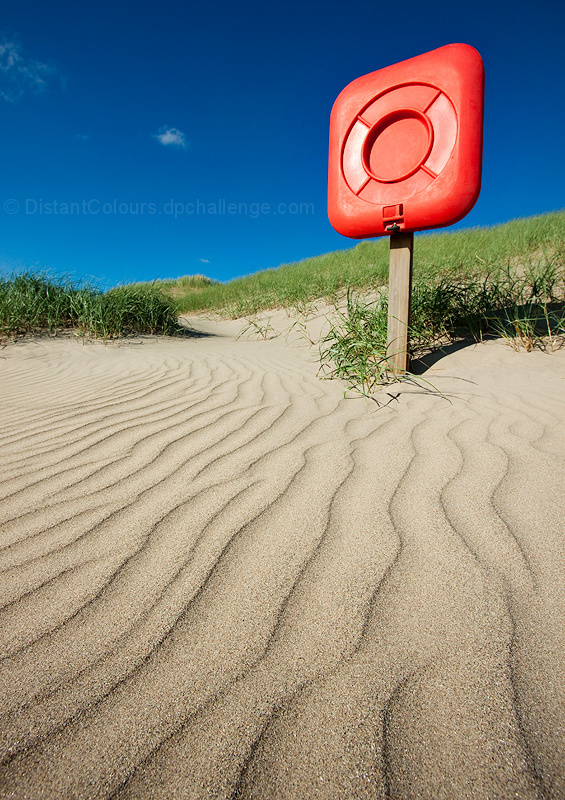 Beach Buoy