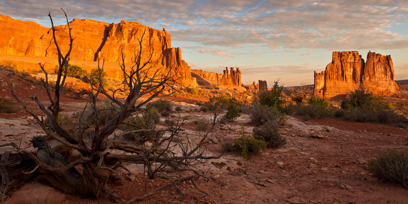 Arches Sunrise