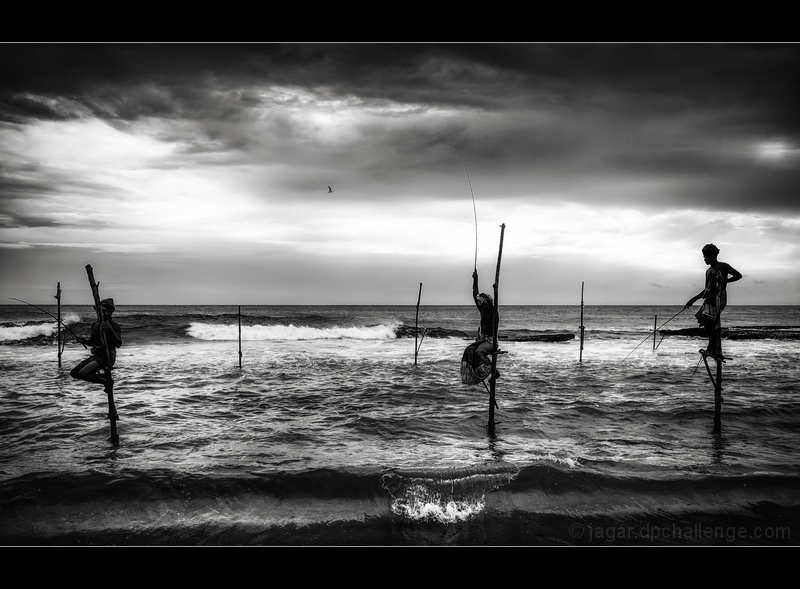 The Stilt Fishermen of Kathaluwa 