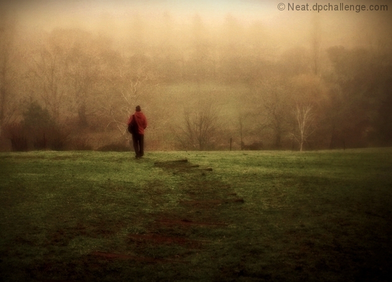 Pathway in the mist