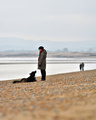A dogs love