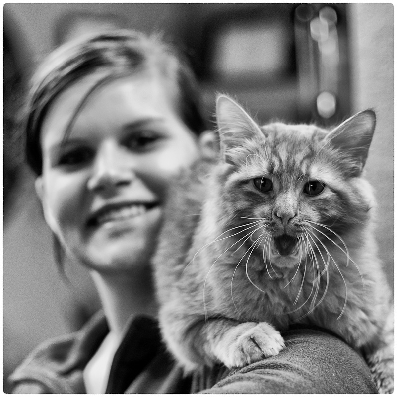 Shoulder Cat Explains How It Is