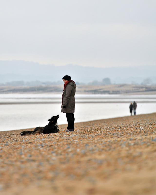 A dogs love