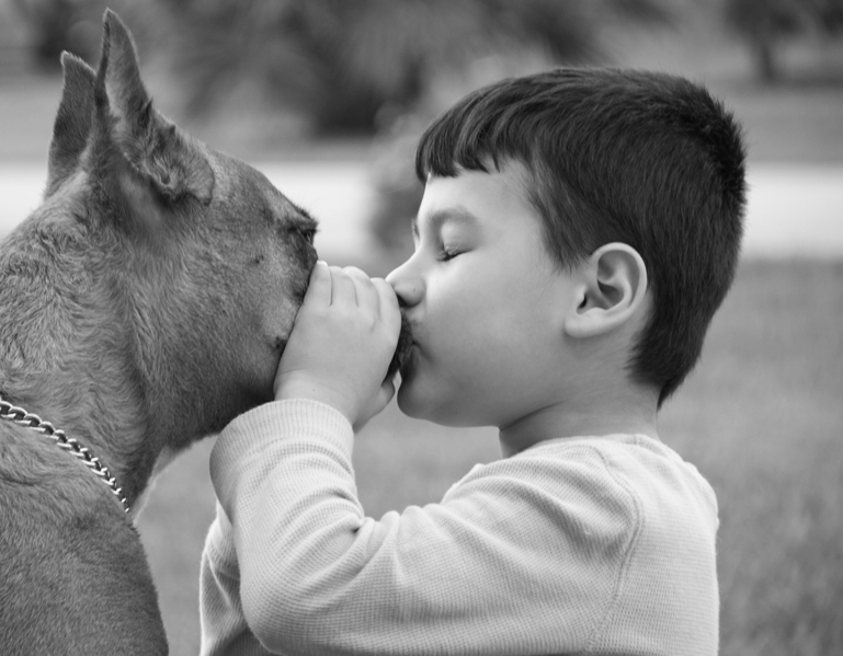 A boy and his Boxer