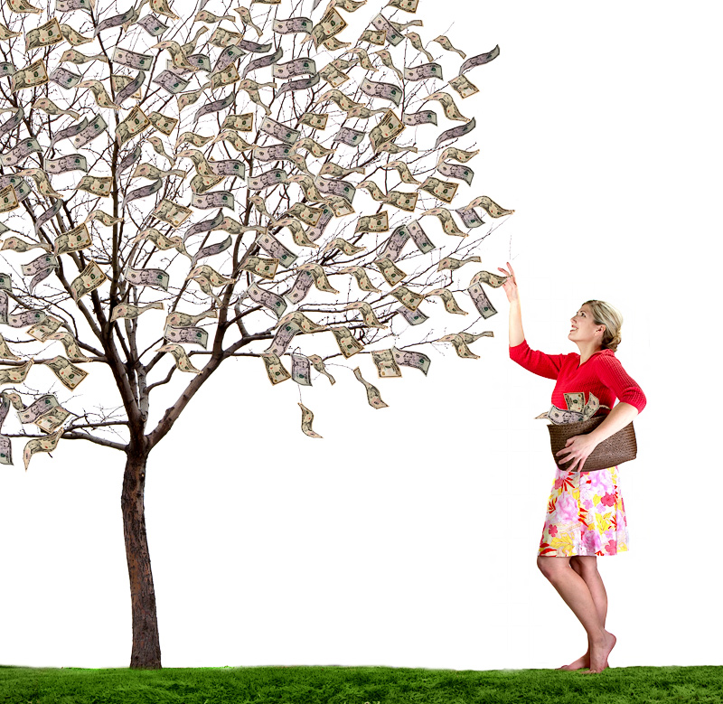 The Magical Money Tree