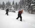 Ski Mountaineering in the Falling Snow