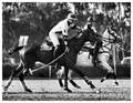 The Sport of Kings