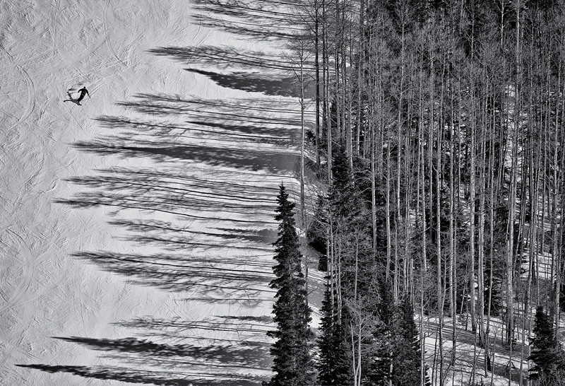 Skiing the Treeline