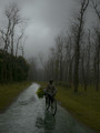 Thru the Rain
