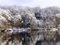 Silent snowscape