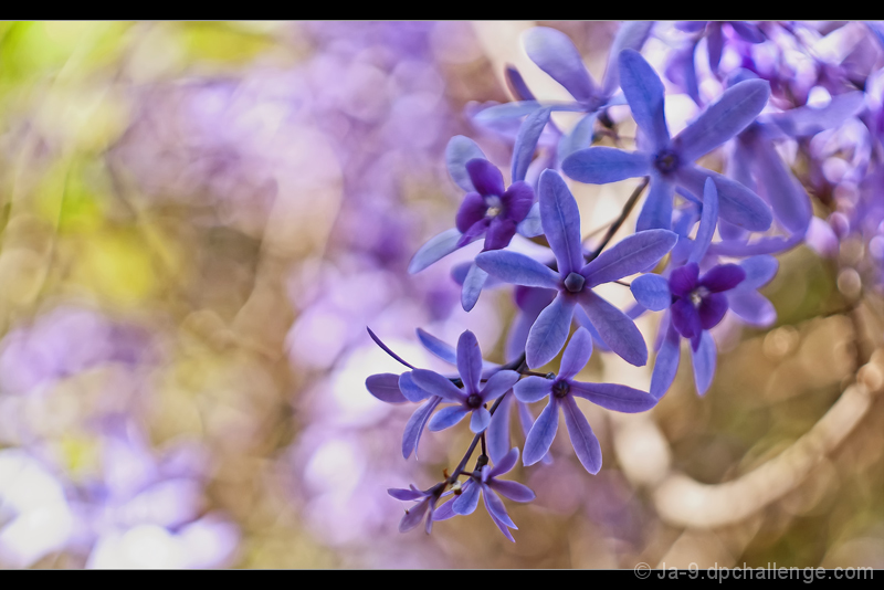 ~ Spring Is In The Air ~