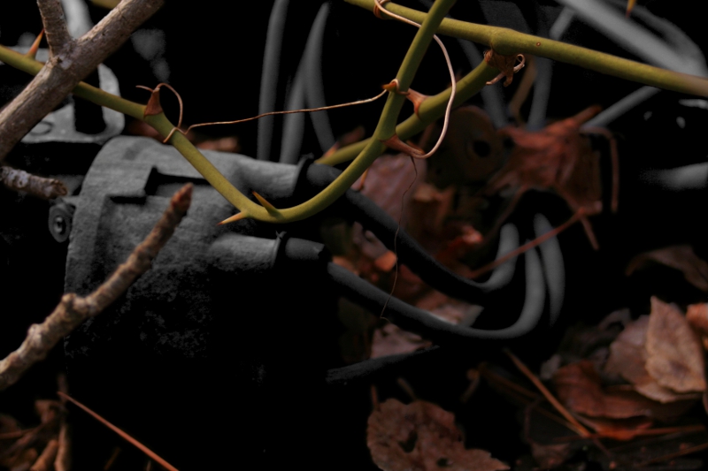Overgrow