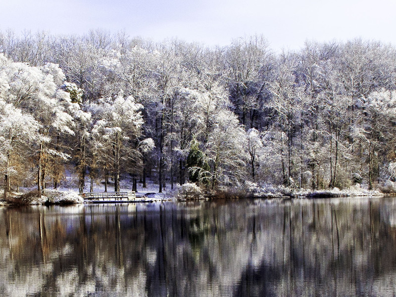 Silent snowscape