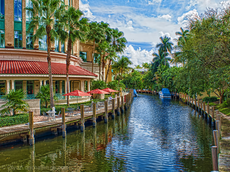 Waldo's Tropical Retreat