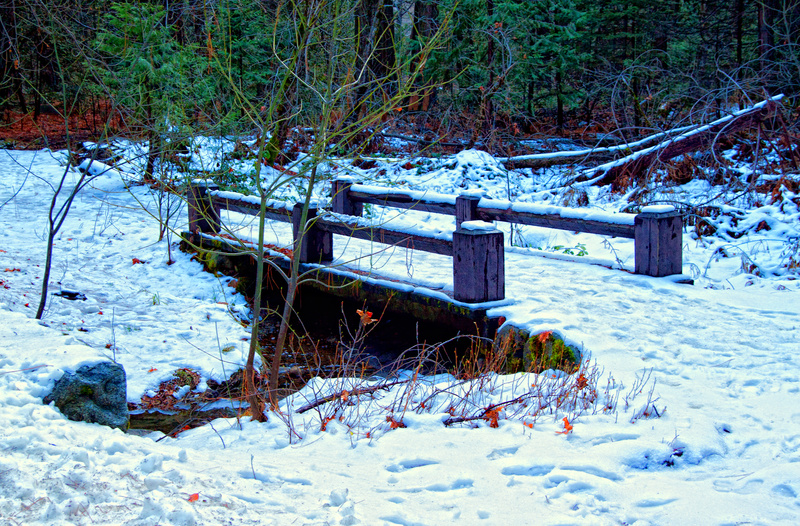 In the modality of Winter