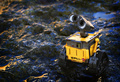 Wall-e on the rocks.