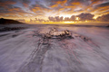 Crocodile Rock