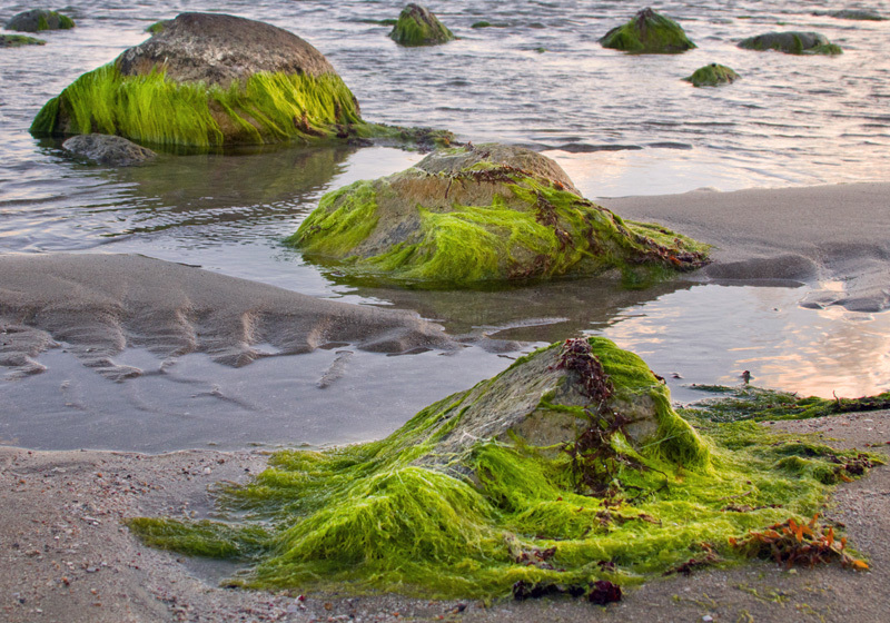 Natural Green Dresses