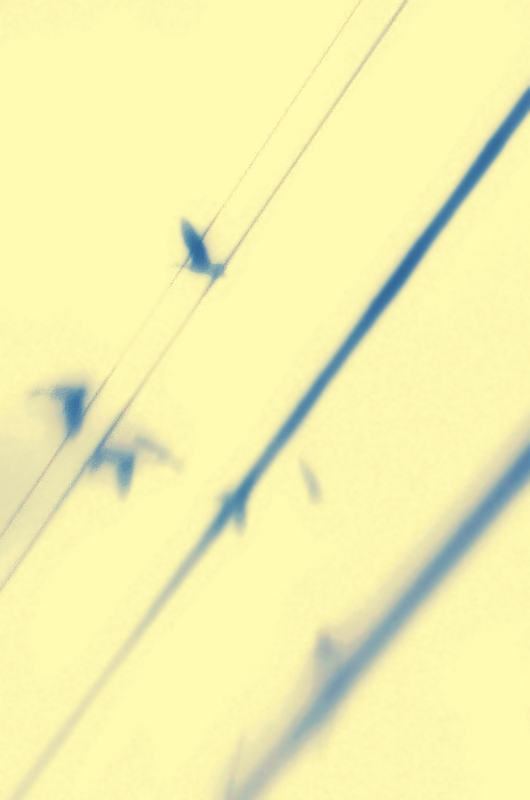 like a chord on a wire