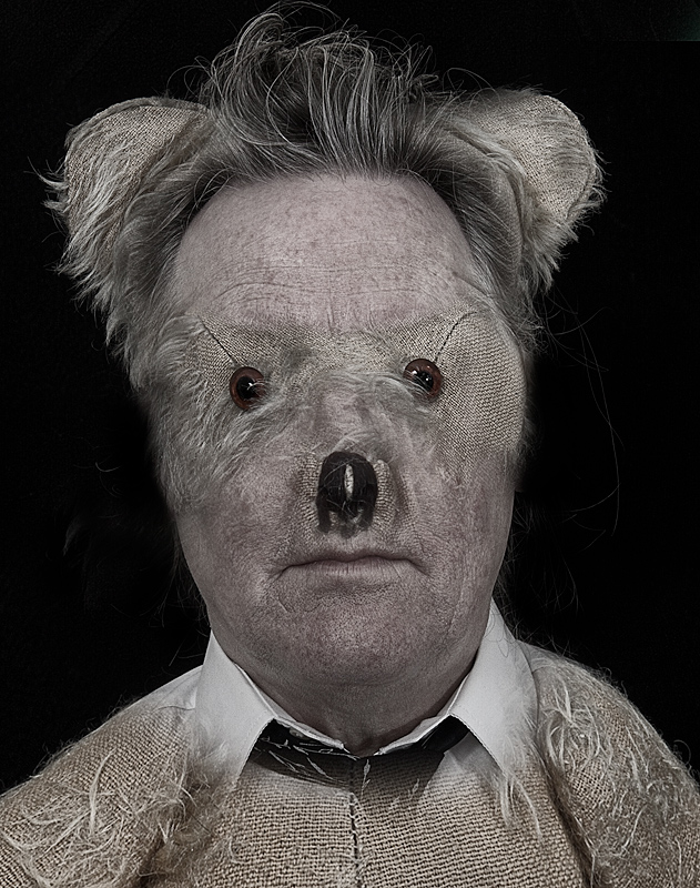 Teddy Boy