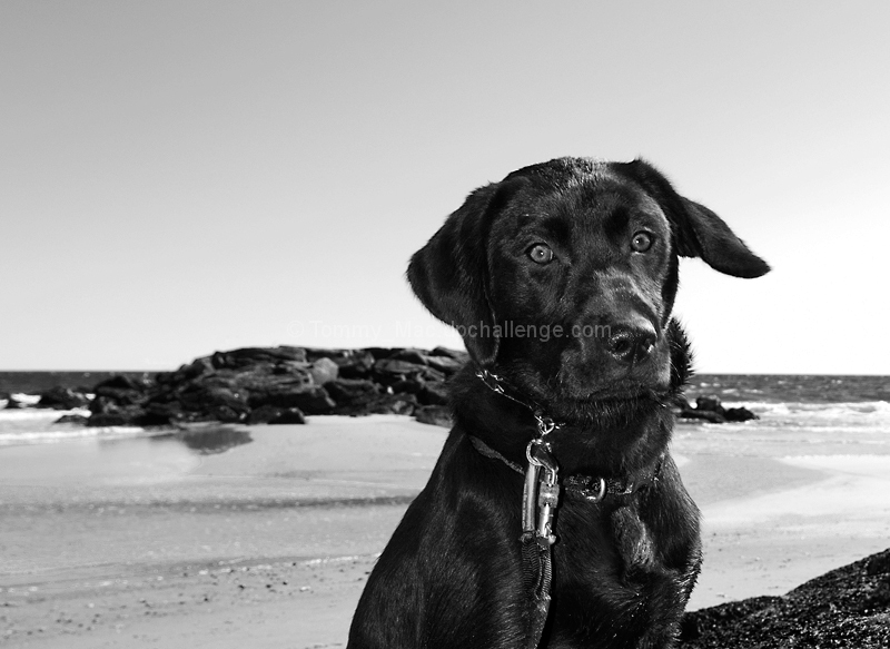 First day at the beach.