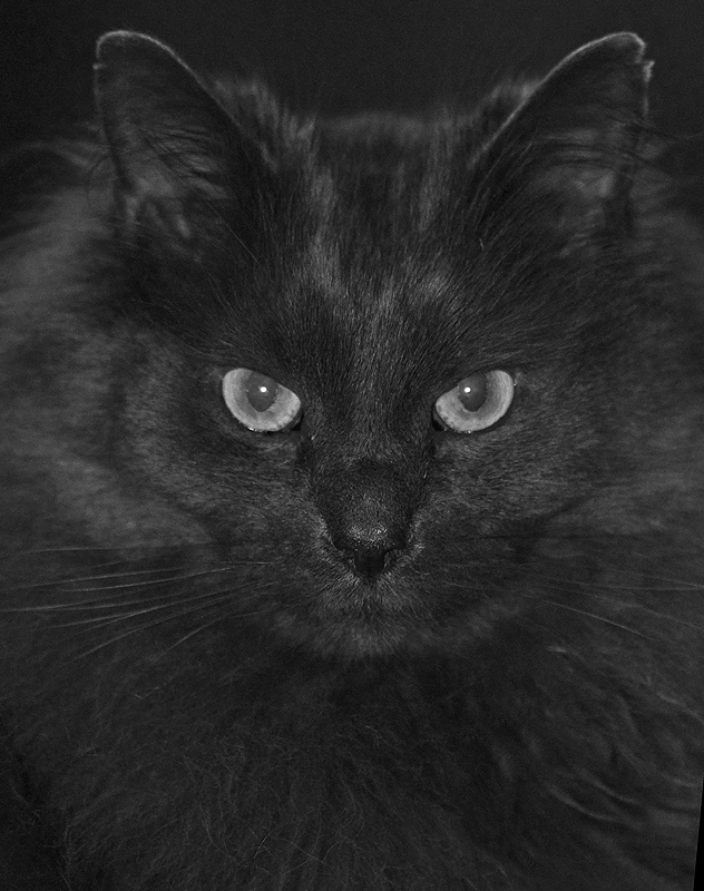 Smokey