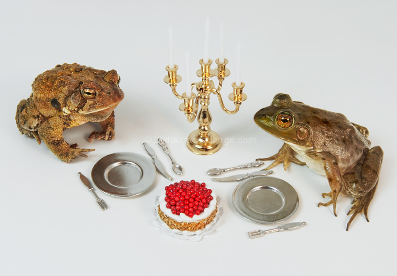 Pleasant Conversation over Dessert 