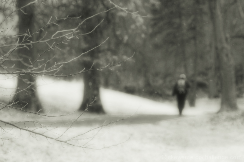 Snow Blowing Over the Dead of Winter