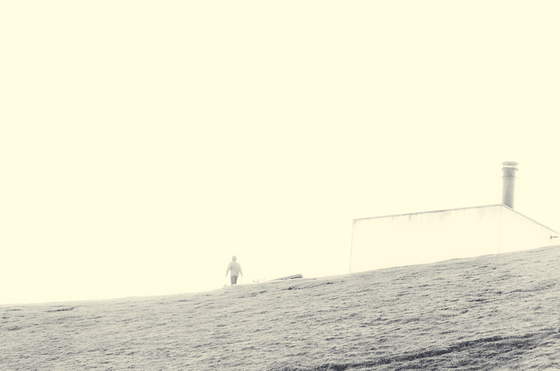 Stalker