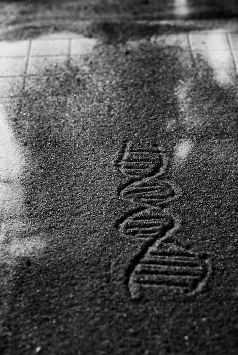 I saw dna sand was I