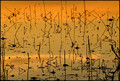 Sunset Staccato II