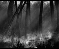 Early one morning .........