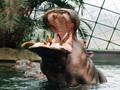 Feeding time
