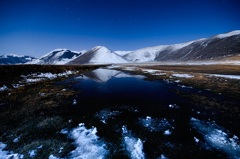 Moonlight stars over the frozen ground